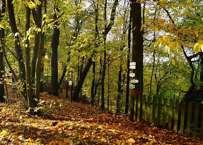 Ryzmburk Szálloda